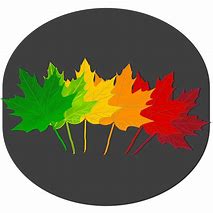 Image result for Logo Pohon Maple Vector