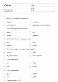 Image result for Stages of Photosynthesis Diagram