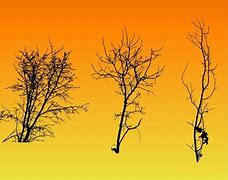 Image result for Images Showing Branches of Ai