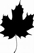 Image result for Transparent Oak Leaf Silhouette