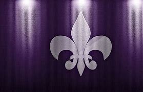 Image result for Fleur De Lis Saints Dog Bone