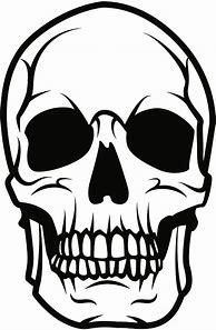 Image result for Black and White Skull Drawings