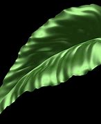 Image result for Leaf Spiral 3D Model