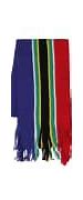 Image result for South African Flag Shirt