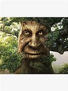 Image result for Touhout Wise Mystical Tree