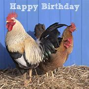 Image result for Happy Birthday Chicken Coloring Pages