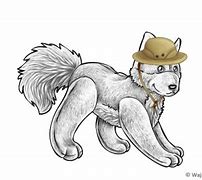 Image result for Safari Hat Little Boy