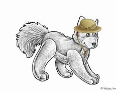 Image result for Safari Hat Little Boy