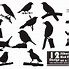 Image result for Bird On Branch Silhouette Tattoo