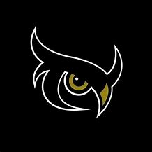 Image result for Animated Logo of an Owl Angry