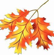 Image result for fall leaves clipart