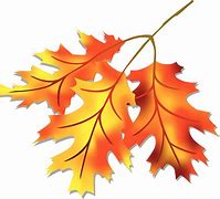 Image result for Fall Leaves Graphic