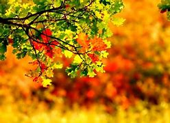 Image result for September Ppt Background