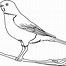 Image result for Beautiful Bird Drawing Outline