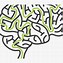 Image result for Brain Outline Clip Art