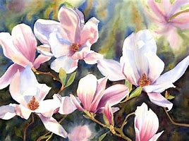 Image result for Magnolia Flower Watercolor Painting