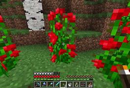 Image result for Minecraft Green Block Bush