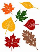 Image result for Fall Leaf Print