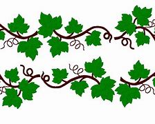 Image result for Olive Vine Leaves Clip Art