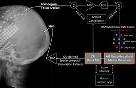 Image result for Artificial Intelligence Algorithms