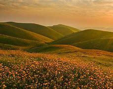 Image result for Landscape Wallpaper for Laptop