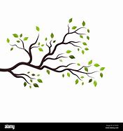 Image result for Tree Branch Template