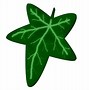 Image result for Ivy Vine Branch Clip Art