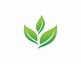 Image result for Leaf Logo Design Vector