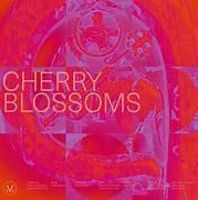 Image result for Wild Black Cherry Blossoms