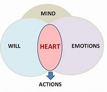 Image result for Mind Will and Emotions