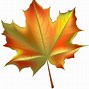 Image result for Autumn Leaf Transparent