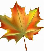 Image result for Autumn Leaf Clip Art Free