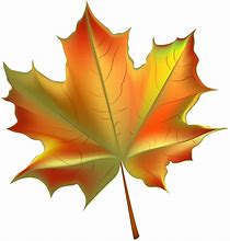 Image result for Fall Leaves Vector Free