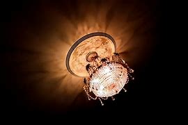 Image result for Branch Chandelier Light Fixture