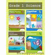 Image result for Branches of Science Activity