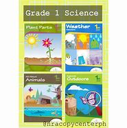 Image result for Branches of Science Activity