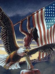 Image result for American Flag Bald Eagle with Shield