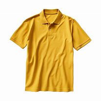 Image result for Polo Design for Intelligence