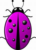 Image result for Beetle Clip Art Black and White