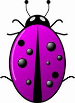 Image result for June Bug Clip Art