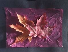 Image result for Leaf Art Arrangement