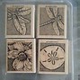 Image result for Stampin Up Stamp Stick Figure Family