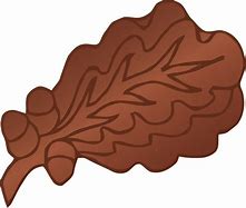 Image result for Oak Leaf and Acorn of California Drawing