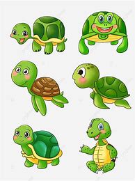 Image result for Green Sea Turtle Bumper Sticker