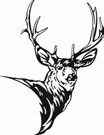 Image result for Mule Deer Skull Clip Art Black and White