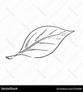 Image result for Basic Leaf Outline