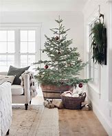 Image result for Variety of Real Christmas Trees