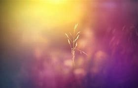 Image result for Blur Background Full HD