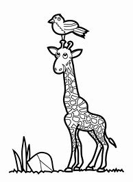 Image result for Free Giraffe Coloring Pages