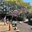 Image result for Cretaceous Dinosaurs